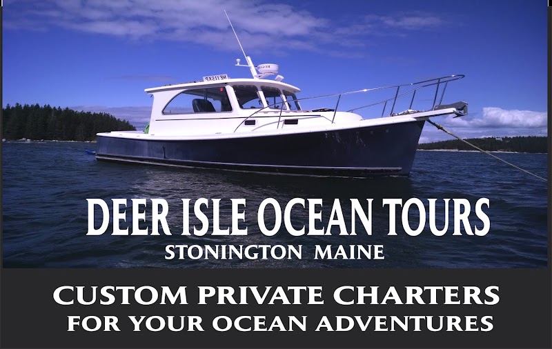 An Oceanville Cabin & Harbor Tours