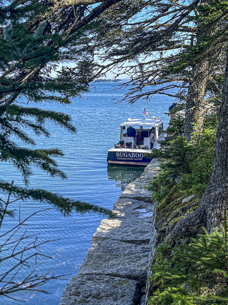 An Oceanville Cabin & Harbor Tours photo 5