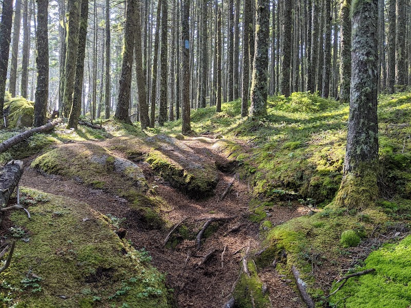 Barred Island Preserve parking photo 2