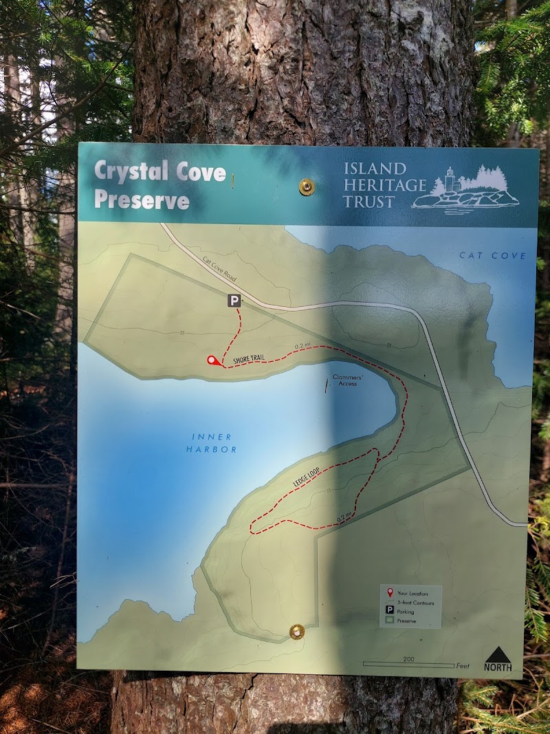 Crystal Cove Preserve photo 3