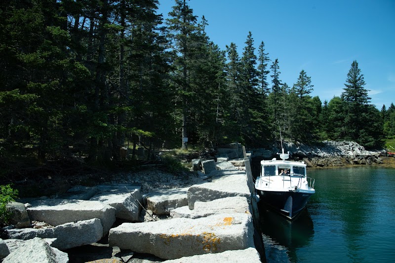 Deer Isle Ocean Tours photo 3