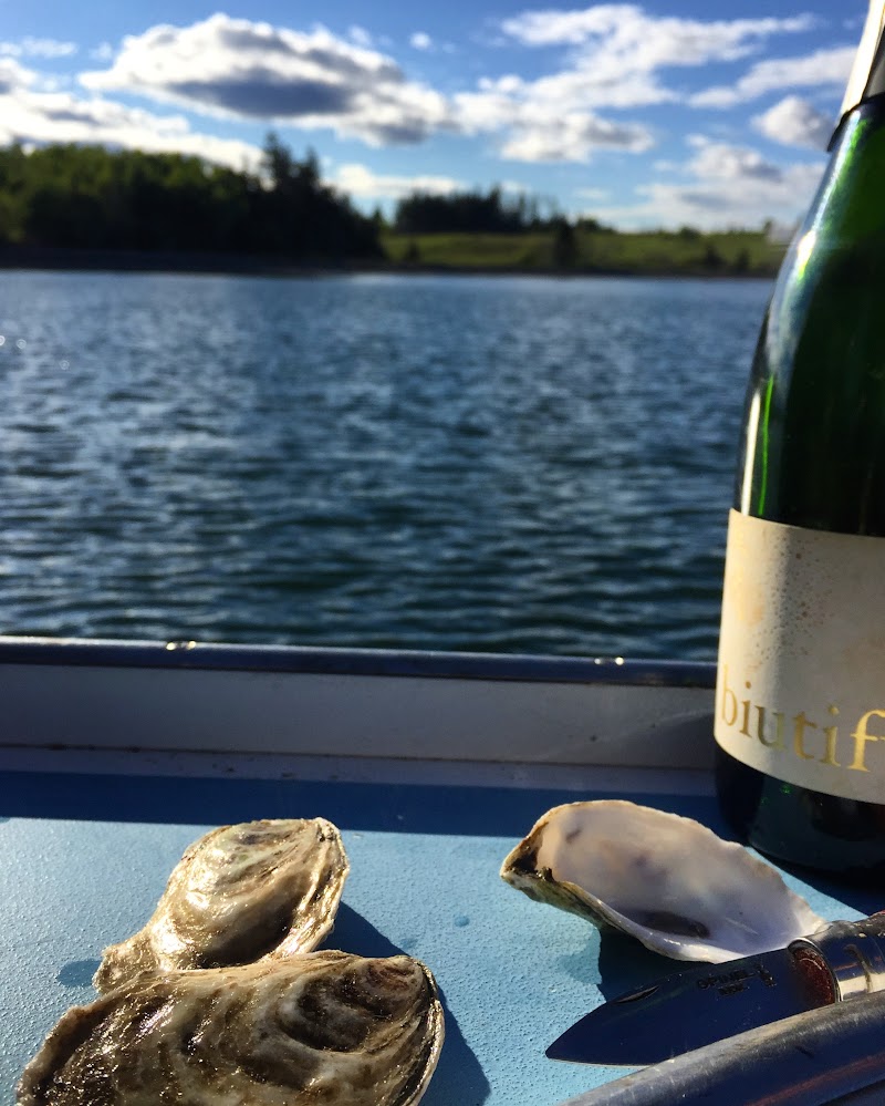 Deer Isle Oyster Company photo 3