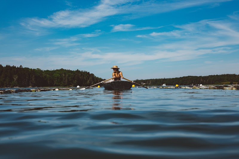 Deer Isle Oyster Company photo 5