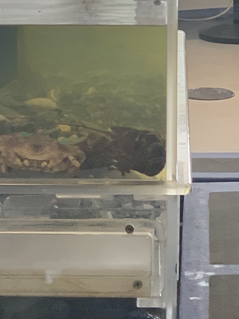 Discovery Wharf at MCCF photo 4