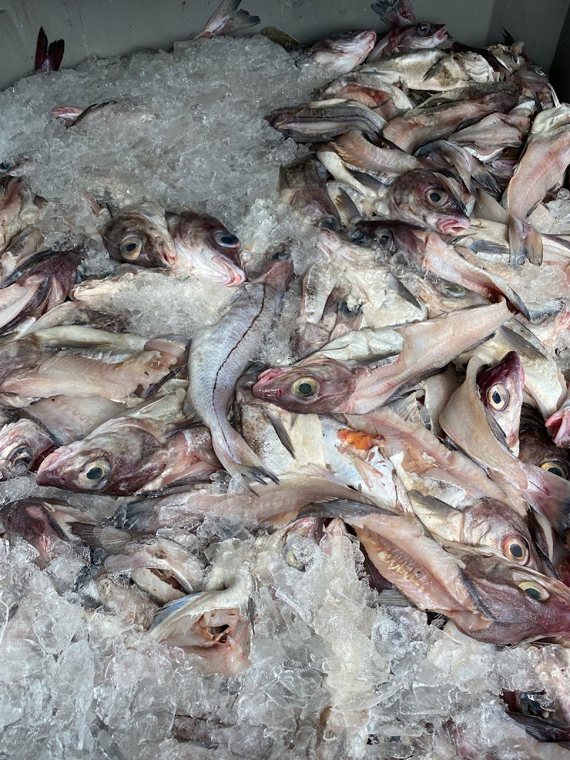 Fifield Lobster Co photo 5