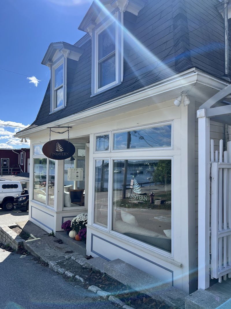 Fin and Fern photo 4