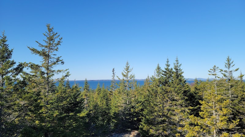 Goose Cove Resort photo 4