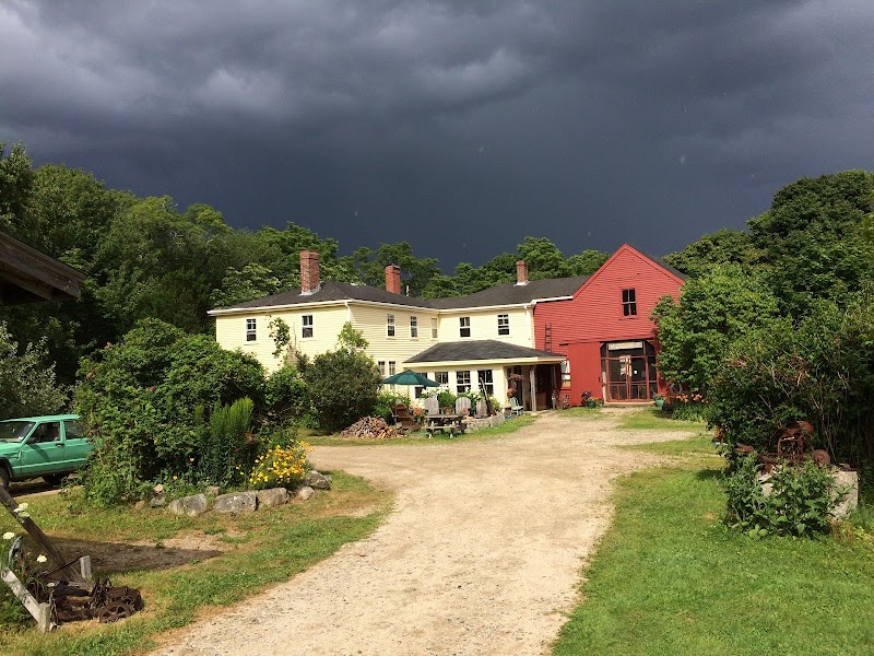 Greene Ziner Gallery photo 2