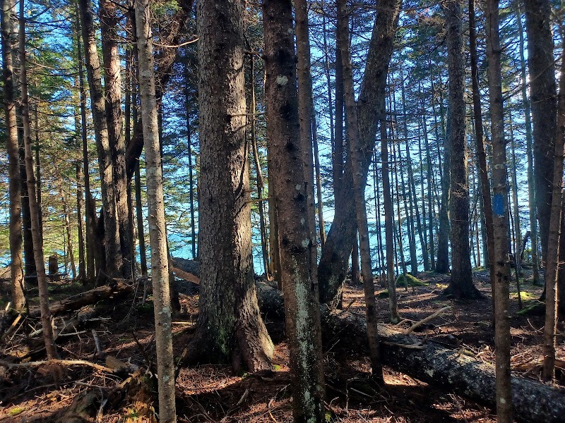 Haystack Mountain School of Crafts photo 4