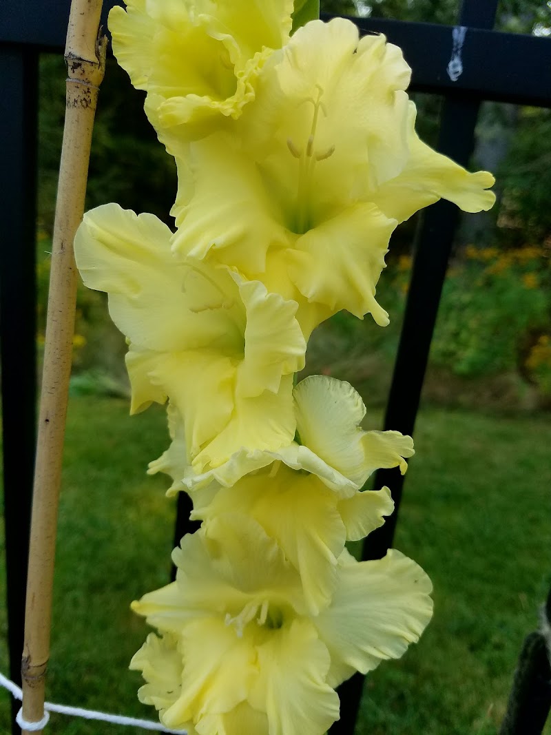 Islewood Farm photo 2