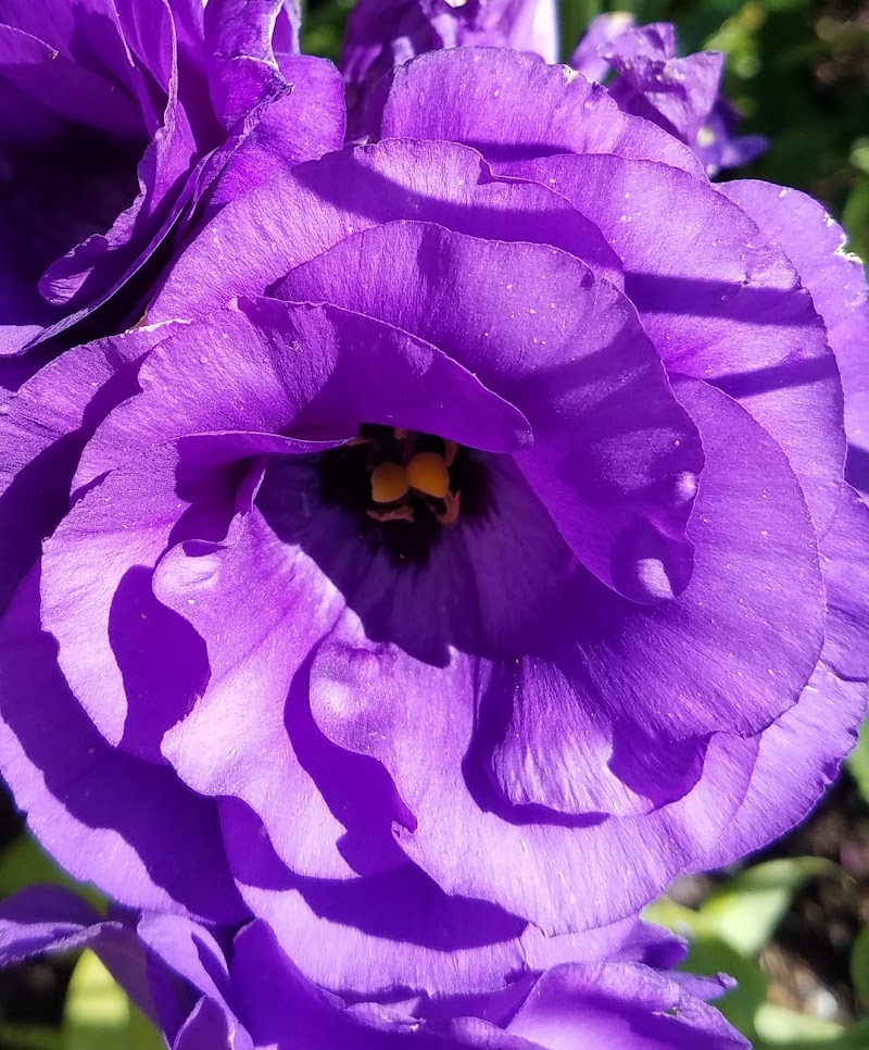 Islewood Farm photo 5