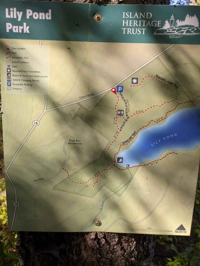 Lily Pond Park photo 5