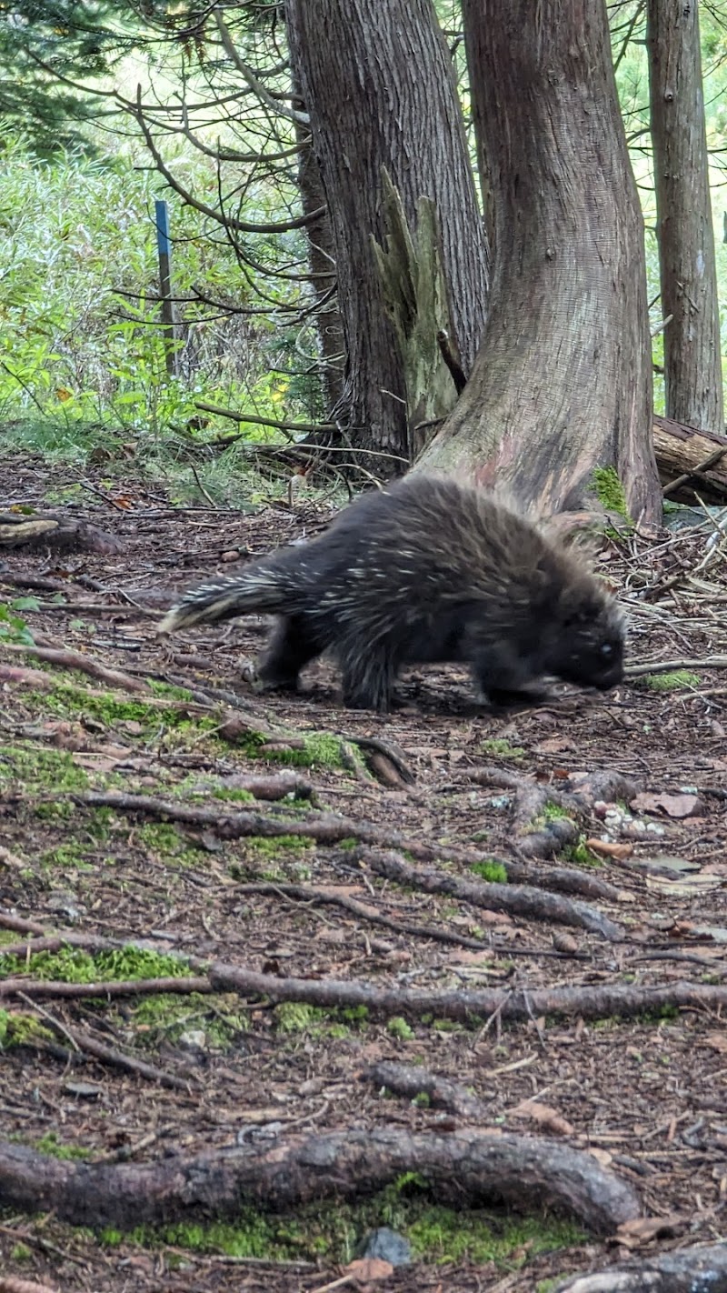 Lisa Tolman Wotton Preserve photo 2
