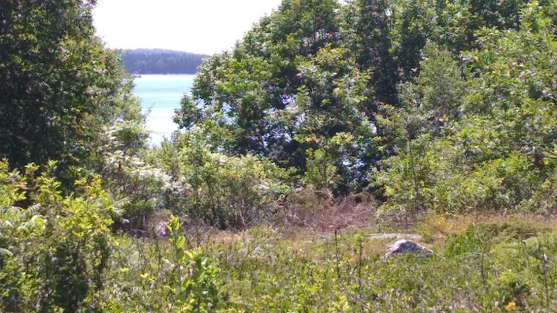 Lisa Tolman Wotton Preserve photo 3