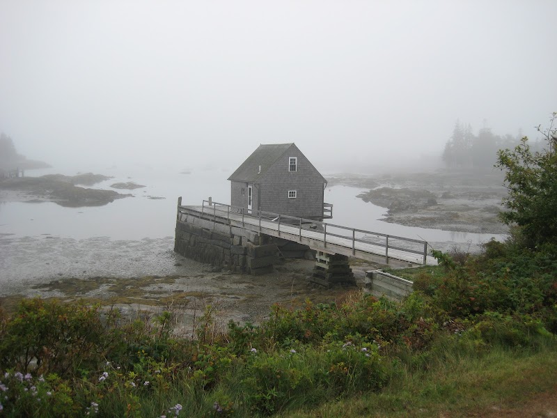 Maine Center for Coastal Fisheries photo 5