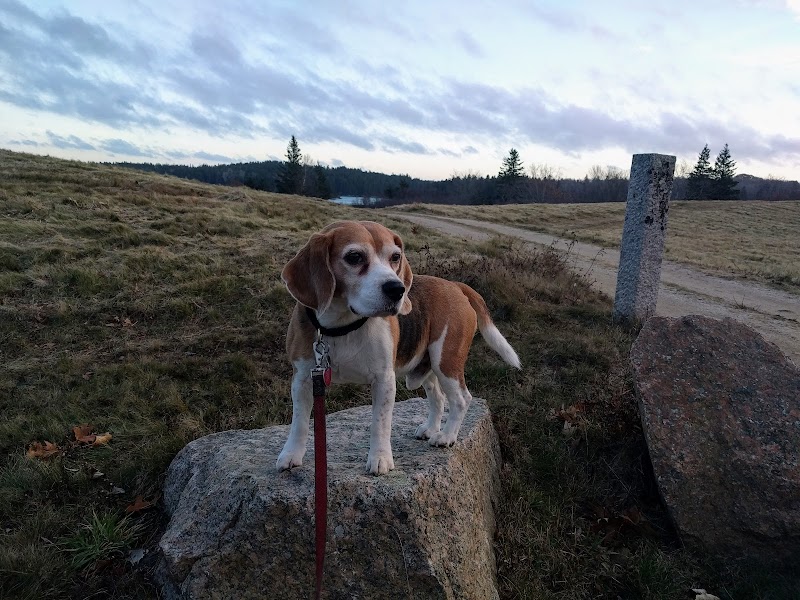 Mariners Memorial Park Deer Isle Maine photo 5