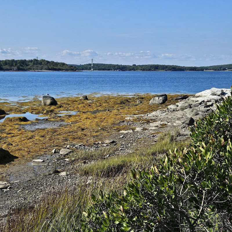 Scott's Landing Preserve photo 2