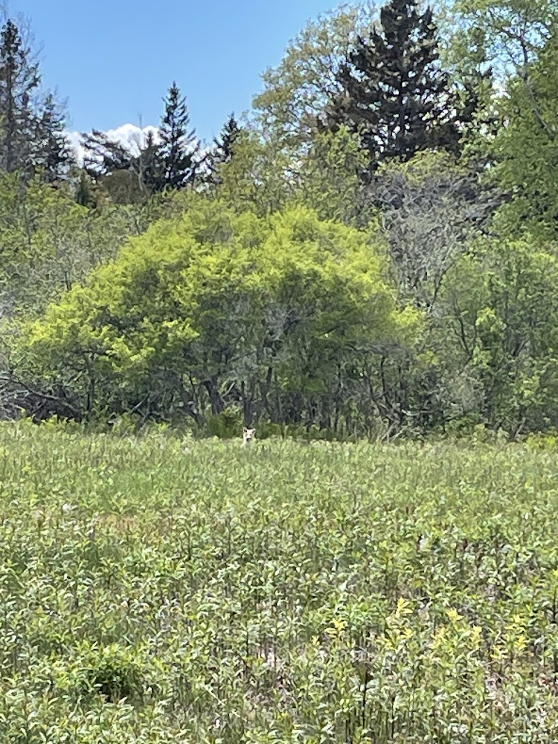 Scott's Landing Preserve photo 4