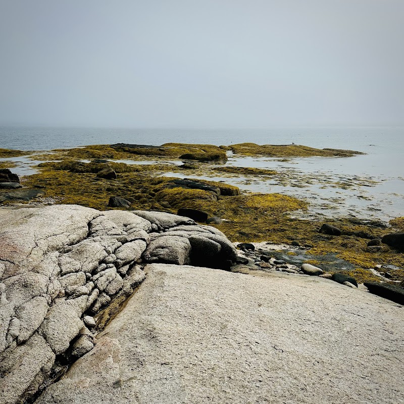 Sea Kayak Stonington photo 5