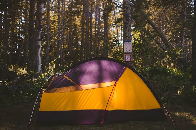 Stonington Paddle photo 4